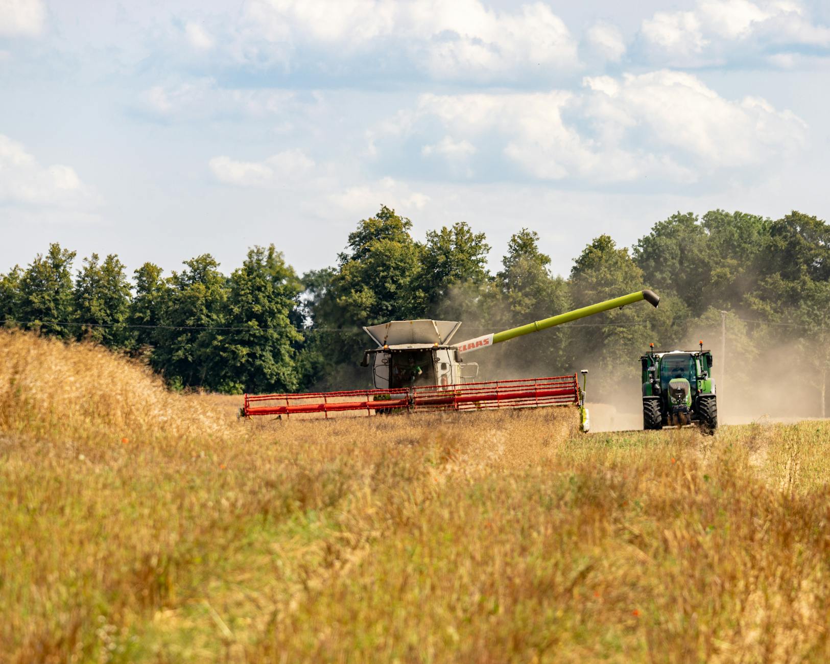 Jak zmniejszyć straty plonu w kombajnie: kluczowe regulacje i serwis podzespołów Kombajn i traktor zbierają zboże na słonecznym polu podczas żniw
